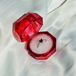 پرنسس